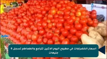 أسعار الخضراوات في مطروح اليوم الاثنين تتراجع والطماطم تسجل 6 جنيهات